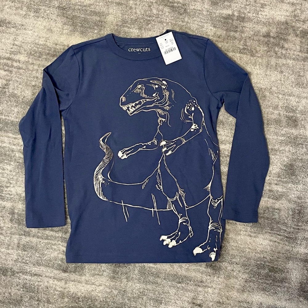 Boys JCrew Crewcuts Long Sleeve Dinosaur T-Shirt
